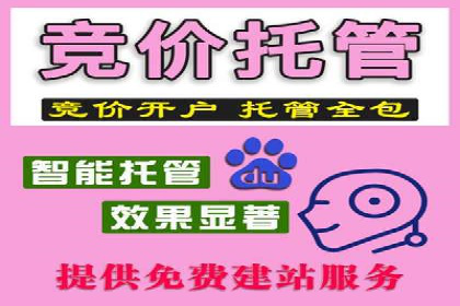 某科技公司网络推广竞价的成功之路